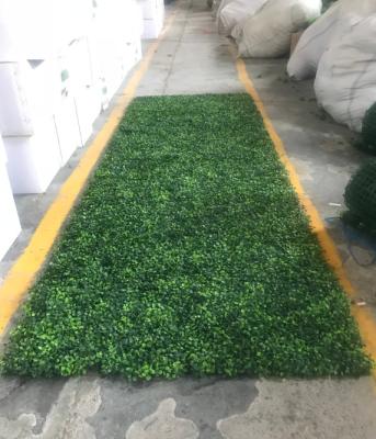 China Artificial Country 1*3m Boxwood Hedge Panel Fence Plastic Greenery Roll Mat Fence Panels For Garden Decoration for sale