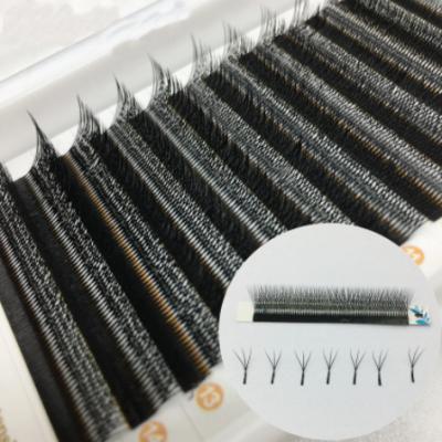 China Different Shape Natural Eyelash Extension Wholesale Soft /Soft W V YY Volume Russian Fans Grafting Lashes KoreaEyelash Case for sale