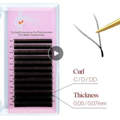 China /Soft Natural 0.05 0.07 Yy Premade Fans Eyelash Extensions For Salon Different Yy Lash For Lash Artist Eyelash Extensions for sale