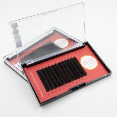 China Wholesale Soft Natural Black Silk Flat Lash Eyelash Extensions Bottom Ellipse Trays Super Flat Lash Extension for sale