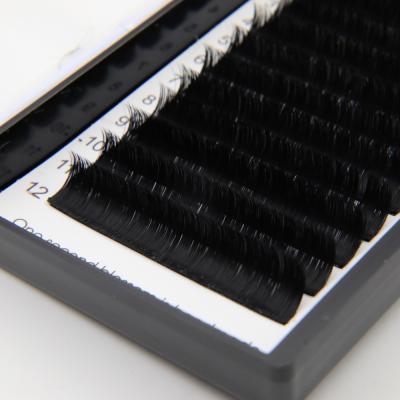 China Soft Easy Fanning Volume Fan Eyelash Extension Private Label Silk Eyelash Extension Supplies for sale