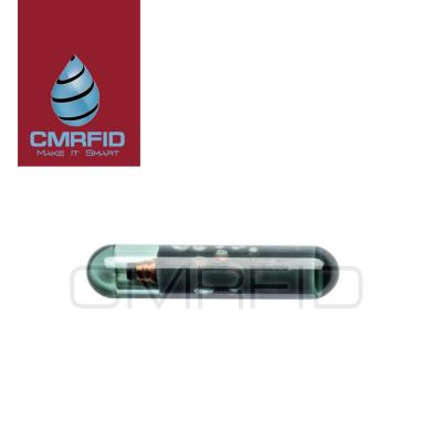 China Identification management cheap rfid fish tracking tracking rfid chip syringe 125khz animal rfid glass tag for sale