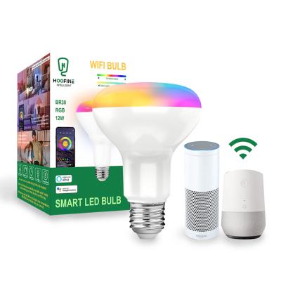 China Best Selling Residential Indoor Products 40W WIFI Homekit Lighting Lamp Color Changing Indoor Smart LED Bulb for sale