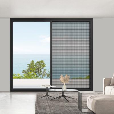 China Yarn Mesh Sliding Door, Mosquito Proof Sliding Door, Sliding Door for sale