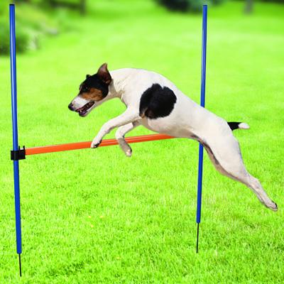 China New Design Dogs High Quality Outdoor Training Equipment Dog Agility Jumping Obstacle Poles With Carrying Case for sale