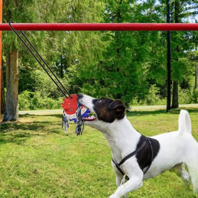 China Viable Hot Selling Interactive Conflict Dog Traction Chew Toy With Cup Strong Powerful Molar Outer Bite Suction Rope Squeaky Ball for sale