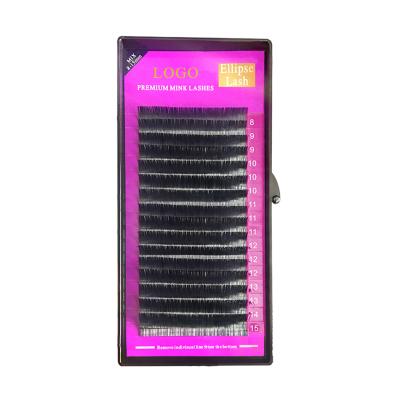 China Professional Time Saving 16 Lines High Quality Ellipse Eyelash Synthetic Hair Flat Eyelash Extensions for sale