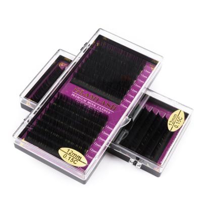 China Best Quality Korean Natural Eye Lash Extension Long False Eyelashes Brand New Natural Mink Wholesale Fast Fanning Classic for sale