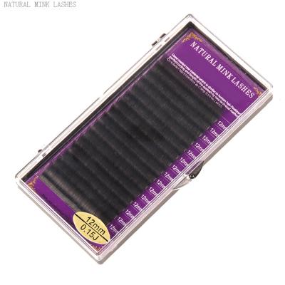 China Best 16 Rows Volume Synthetic Russian Mink Hair Lash Extension Best Eyelashes For Eyelash Extensions In China for sale