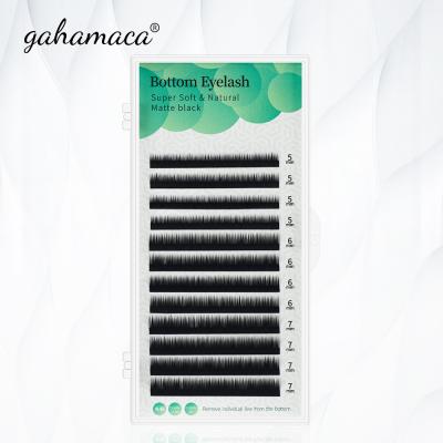 China GAHAMACA Synthetic Hair Eyebrow Extension Black Color 0.07 Thickness Since Loop 5mm 6mm 7mm Eyebrow Eyelash Extension Lashes Bottom Lashes Make Up for sale