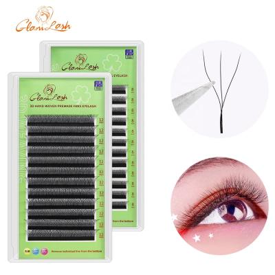 China GLAMLASH W Shape Long Natural Eyelash Extension 3D Pre Made Volume Fan Lashes W Style Lashes Faux Mink Volume Lashes Natural Eyelash for sale