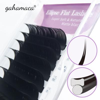 China Supplies 2021 Private Label 0.2mm Flat Eyelash Extensions Lashes Natural Faux Cashmere Individual Ellipse Extension for sale