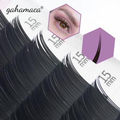 China Clean Natural Handmade Korean Brand Matte 0.20mm Flat Lashes Soft Ellipse Flat Eyelash Extensions for sale