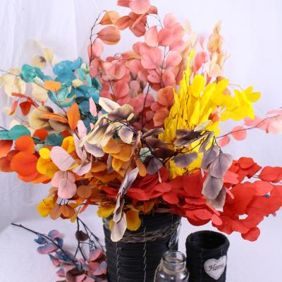 China Wedding Decoration Plant Wholesale Preserved Natural Dried Apple Leaf Blue Green Red Eucalyptus Stems Preserved Eucalyptus Apple Leaf for sale