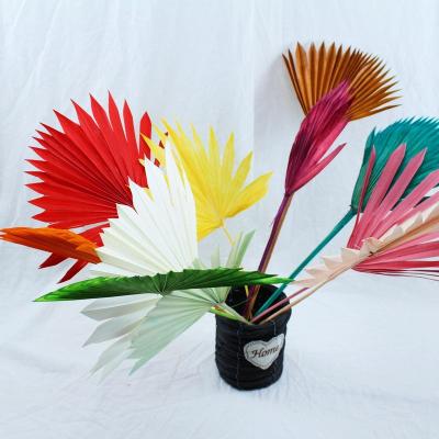 China Events Decoration Wholesales Boho Wedding Decor Natural Flower Plant Preserved Large Fan Leaf Tropical Dry Palm Leaf Palm for sale