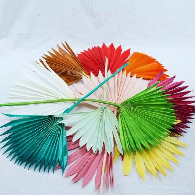 China Events decoration factory wholesale new design preserved natural fan palm leaves spray colors flowers wedding floral personal palm leaf desk for sale