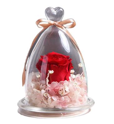 China Natural Touch Discount Price Customized Red Rose Forever Preserved Eternal Glass Cover Rose for sale