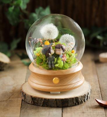 China Natural Eternal Preserved Touch Plant Outlet Flowers Night Light In Glass Dome With Box for sale