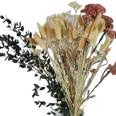 China Customized 100% Real Natural Preserved Flower Bunnytail Grass Pampas Grass Flower Bouquet Natural Dry Home Decoration Real Rose Babies Breath Valentine Day for sale