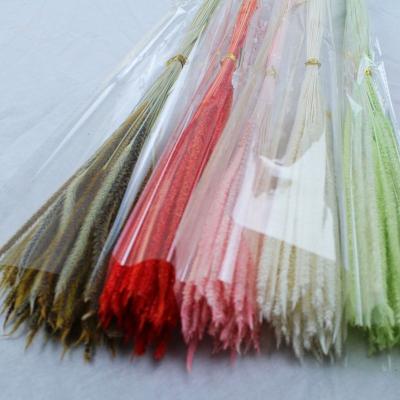 China Wholesale Natural Fresh Colorful Grass Wedding Party Home Decoration Dried Preserved Cloden Rod Natural Horsetail Grass Goldenrod Grass for sale