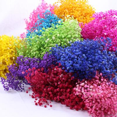 China Wedding& Wholesale Multicolor Flower Mini Baby Breath For Wedding Home Decoration Gypsophila Babysbreath Or Room Decoration for sale