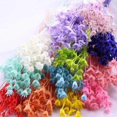 China Factory Wholesale Original Environmental Protection Green Air Drying Star Anise Flower Octagon Flower For Christmas Occasion Room Decor for sale