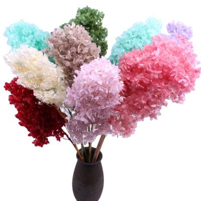 China Touch Natural Plant Fast Delivery Most Popular Hydrangea Macrophylla Harvested Woody Tower Shape Hydrangea Steam For Home Office Decoration for sale