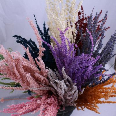 China Wedding Eternal Decoration Events Gift Wholesale Natural Fresh Touch Real Lavender Preserved Lavender For Wedding Decoration Event for sale