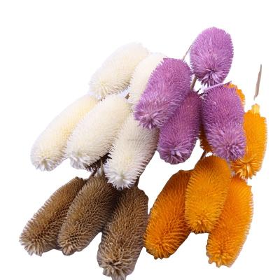 China Decoration Diy Whole Sales Most Popular Handmade Organic Dried Flowers Dipsacus Sativus For Home Shop Decoration for sale