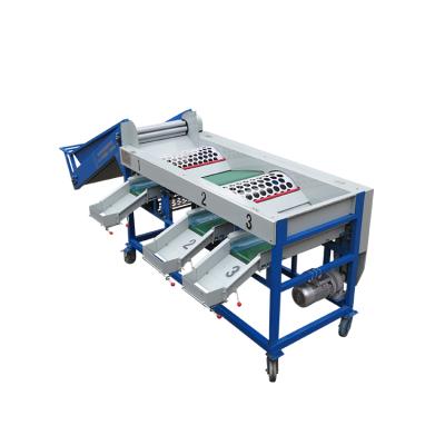 China food & Beverage factory quality super automatic tomato sorter for sale