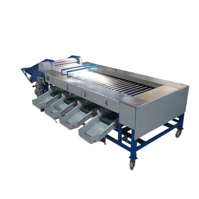 China food & Beverage Factory China Supplier Wholesale Automatic Orange Sorter for sale