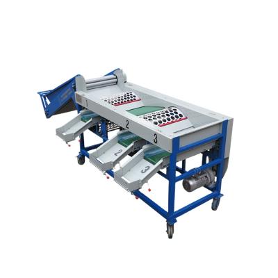 China food & Beverage factory high quality automatic fruit sorter for sale