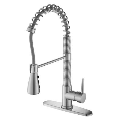 China Pull Out Sprayer 304 360 Stainless Steel Adjustable Kitchen And Bathroom Flexible Faucet Brass for sale