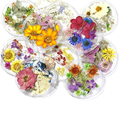 China Wedding Party Decoration C036 Wholesale Home Natural Dry Flowers For Aromatherapy Art Little Pressed Flower Resin Nail Design For Decoration Supplies for sale