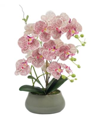 China Real Touch N-58 Luxury Latex Eco-friendly/Durable White Pink Butterfly Orchids With Ceramic Pot Artificial Artificial Orchid Potted Plant For Sale for sale