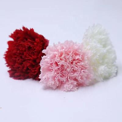 China Valentine Mothers Day Or Other Festivals W-221 Wholesale Grade A Carnation Stocking Decorative Flowers Rose Preserved Carnation Roses For Diy Gift for sale