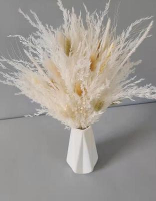 China Wedding Home Party Decoration N-019 Ins Style Dried Flower Bouquet Natural Pampas Bunny Tail Grass Creative Home Wedding Preserved Bridal Bouquet DIY Boho for sale