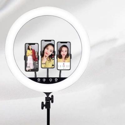 China Hot Selling Photography 18 Inch Selfie Ring Light With Tripod Stand Led Ring Light Led Circle Ring Light for sale