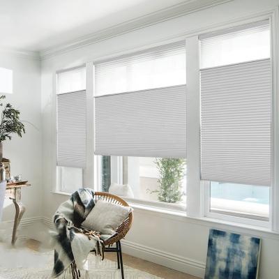 China Product minimalist honeycomb pleated blind honeycomb day and night blind honeycomb blinds spring cord for sale