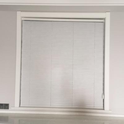 China Aesthetically Pleasing Minimalist Cellular Shades Window Shades Apartment Venetian Shades for sale