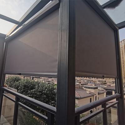 China Minimalist Zipper Screen Roller Shades Fully Automatic Retractable Pergola Zipper Screen Shades for sale