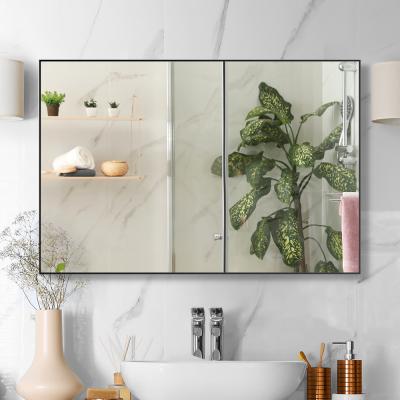 China Modern W202 Black Anodized Glass Aluminum Framed Decorative Wall Mirror for sale