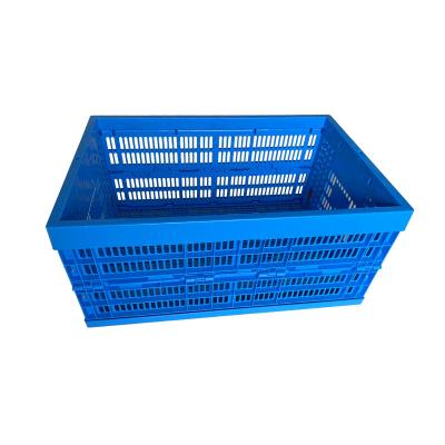 China Plastic Mesh Cheap Flat Shallow Mesh Crate For Vegetables for sale