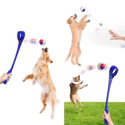 China Ambient Interactive Cat Environmentally Friendly Artifact Pet Throwing Stick Fri Pet Throwing Stick Train Pet Throwing Stick for sale