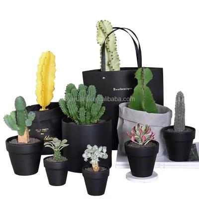 China CLASSIC garden pot for cactus for small decorative garden tree planter flower pots different style for rare cactus for sale