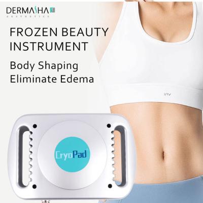 China High Quality Mini Portable Cryo Cool Fat Weight Loss Beauty Machine Body Slimming Machine For Home Use Easily for sale