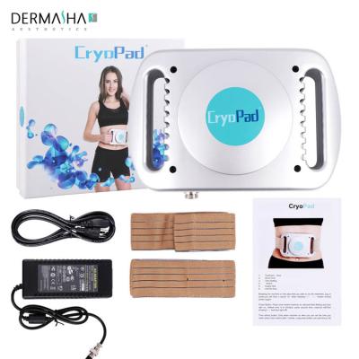 China Weight Loss Best Mini Fat Reduce Cellulite Removal Cryo Cool Pad Fat Freezing Gel Slimming Machine For Home Use for sale