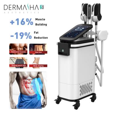 China Weight Loss EMS Body Sculpt Machine Muscle Stimulation Electromagnetic Body Contouring TeslaSculpt EMS Machine for sale