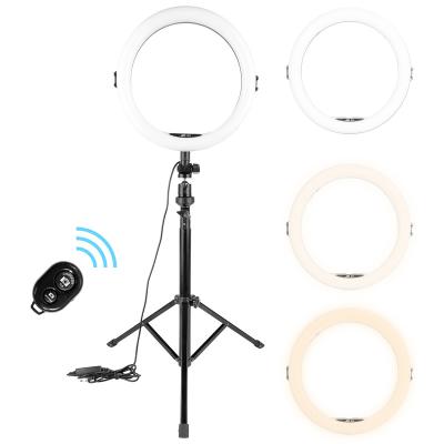 China OEM/ODM Mini 11 Inch Led Circle Ring Light with Tripod Stand and Phone Holder for YouTube Live Stream Makeup Photography Visual for sale