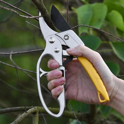 China Universal Pruner Cutter Garden Gardening Plant Scissor Branch Pruner High Carbon Steel Trimmer Shears Plants New for sale